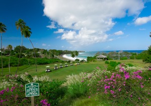 Mount Irvine Bay Resort