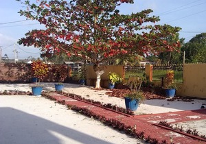 Ms Holder's Comfort Villa, Your Home Away from Home