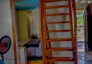My Little Cabin In Negril, cabin