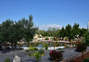Nafplio Lodge. Tiny villa 2