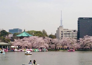 Namio Apartment 301