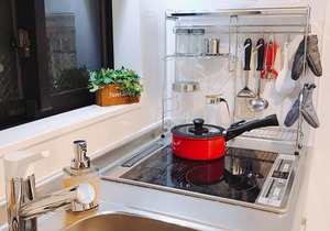 Nestle Tokyo Duplex Itabashi 01