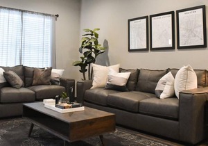 New Fully Furnished Condo in College Station #303