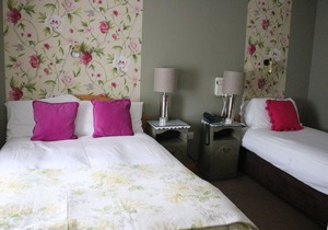 New Park Hotel Athenry