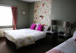 New Park Hotel Athenry
