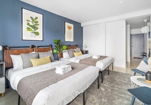 NEWLY RENOVATED STUDIO, 2 queen size beds, 5 min walk to McGill