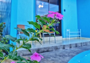 Newly updated 2bd 2ba condo meters from the beach!