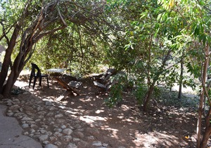 Nxabii Cottages: Cottage 1 (Standard Cottage)