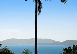 Oasis 25 Hamilton Island