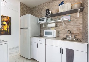 OCEAN & MOUNTAIN VIEWS! lUQUILLO BEACH BEAUTY, PARKING,POOL!