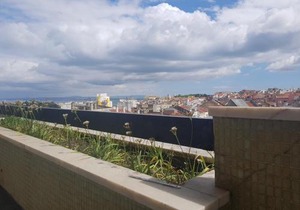Olaias Signature Apartment