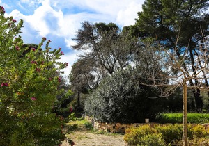 Ostuni Blue Room Suite