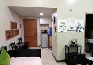 Palm Tree Villas 2