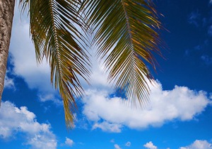Panoramic Sea View - VISTA BONITA (Costa del Sol D4)