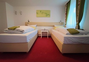 Pension Forelle - double room