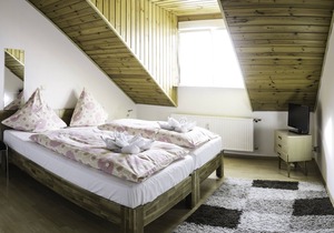 Penthouse apartment near the city center