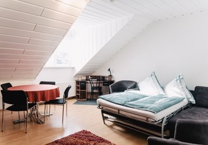 Penthouse apartment near the city center