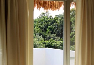 Penthouse In The Jungle near some of the best Cenotes and The Beach