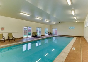 Perfect Downtown Location - Dog Friendly-Fenced Yard- Firepit/Ping Pong