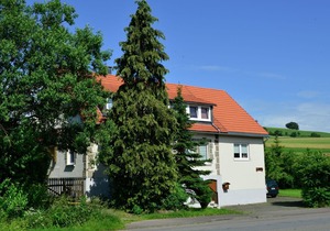 Pet-friendly mansion in the Hochsauerland region with garden and terrace