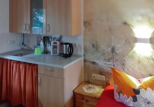 Pet Friendly Apartment