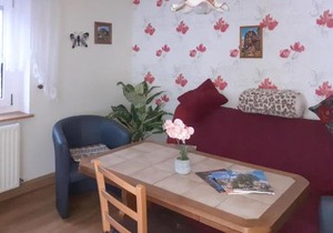 Pet Friendly Apartment