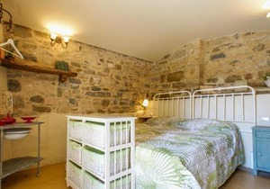 Pet Friendly Apartment