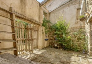 Pet Friendly Apartment