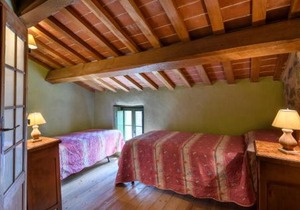 Pet Friendly Apartment
