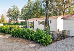 Pet friendly home in Vorden with WiFi