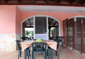 Piccolo Ulivo 2
