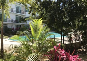 PLAYA SUITES I POOL VIEW