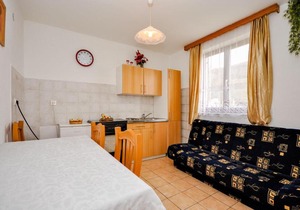 Poljanak Apartment Sleeps 3 WiFi