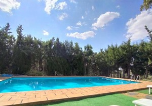 Pozuelo 3 JABUGO