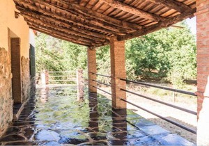 Pozuelo 3 JABUGO