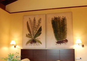 Private room in charming rural hotel 2