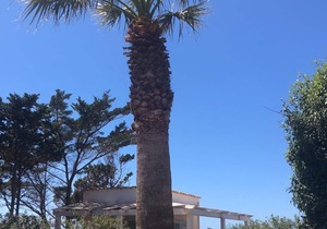 Private Villa with Garden and Sea View in quiet area near the Beach