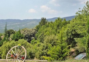 Provencal holiday home with private garden, Bédoin