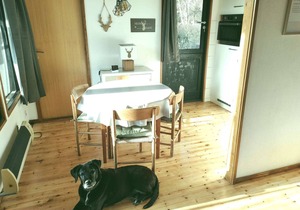 Pure relaxation right by the forest & only 750m to the beach in our retro chalet