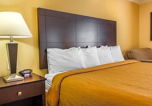 Quality Inn near Mountain Creek