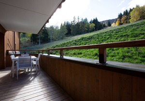 Quiet, close to center - Ski-In/Out , Parking, Linen . Cleaning paid separately.