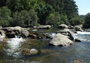 Quinta Da Ribeira