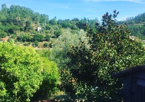 Quinta dos Mouras