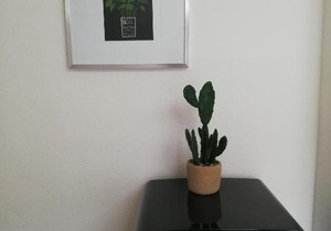 Römerburg Apartment 1