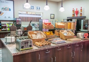 Ramada by Wyndham Drumheller Hotel & Suites