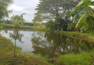 Rawnsley Garden Resort