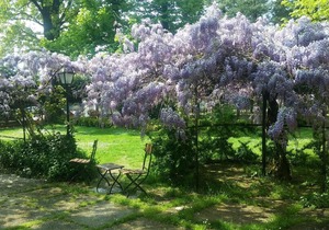 Red Room at Villa Mirano Bed and BreakFast Piossasco - Turin - Piedmont