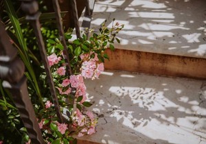 Relais de Charme le Videlle