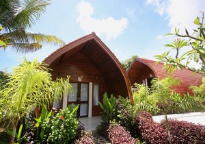 Relaxation and luxury in Jungle Paradise