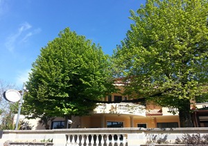 Residence Il Tiglio